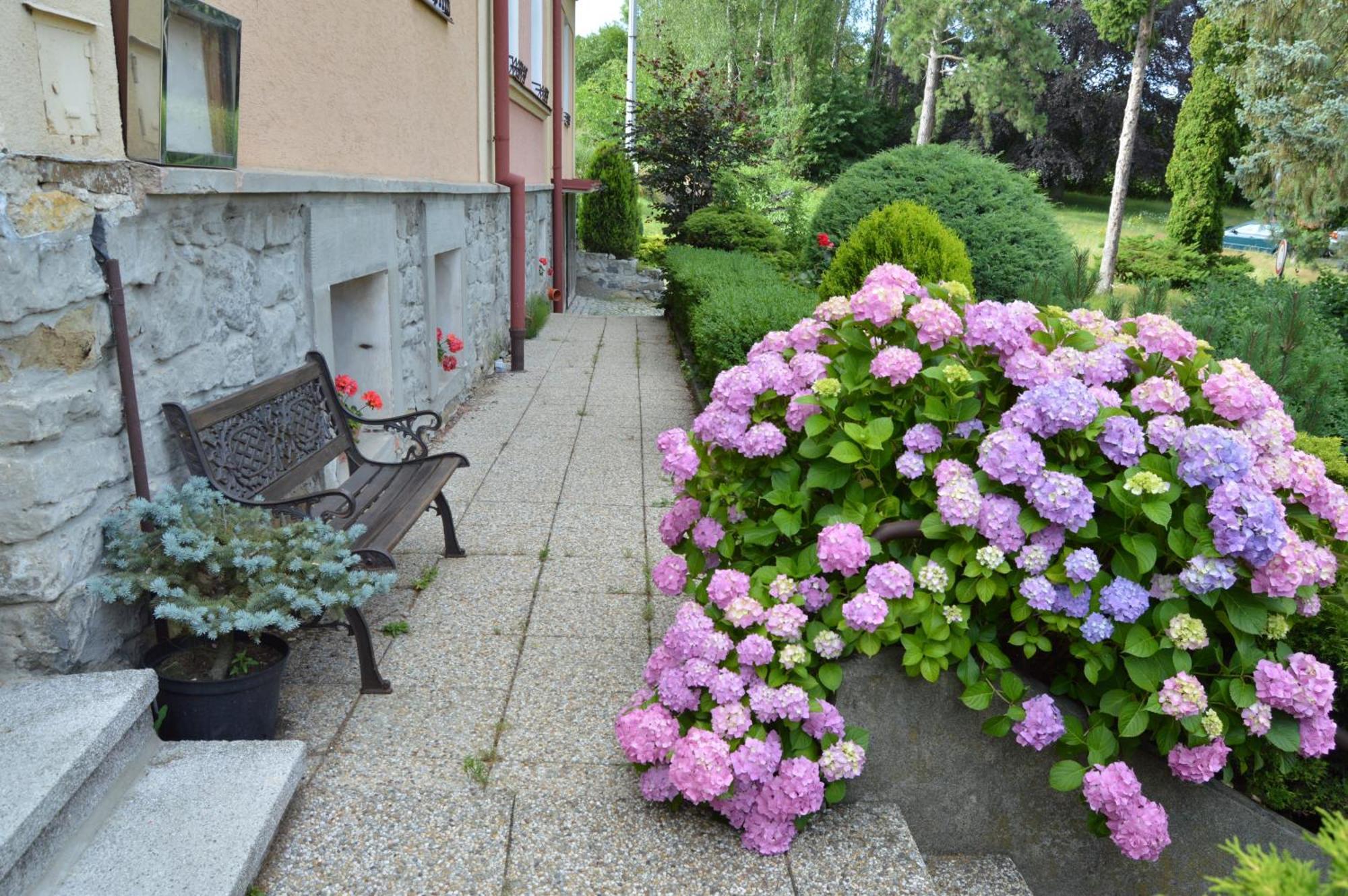 Penzion Ostravanka Hranice  Exterior photo